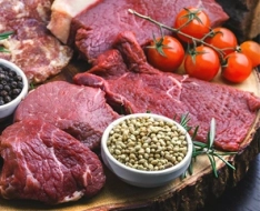 Питательные среды для микробиологического исследования мяса и мясных продуктов