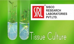 Реактивы для Tissue Culture от Sisco Research Laboratories