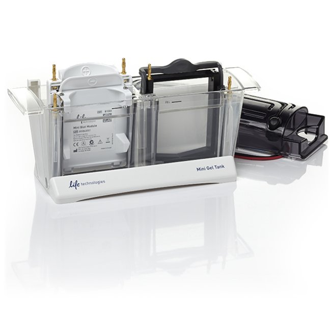 Камера для электрофореза Mini Gel Tank и блок для вестерн - блоттинга Mini Blot Module