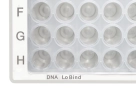 Планшет Microplate 96/V-РР, DNA LoBind®, лунки бесцветный, LoBind®, PCR clean, бел., 80 планшет. (5 пак. × 16 планшет.)