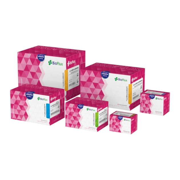/frontend/web/storage/images/products_images/25717058/4.webp