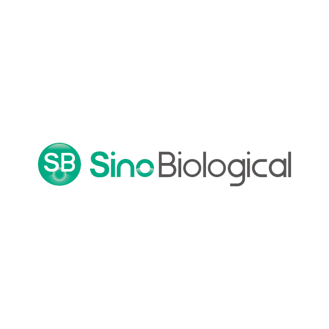 Human SMS2 / Sphingomyelin synthase 2 Protein (Fc Tag)