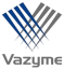 Vazyme