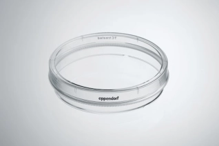 Eppendorf Cell Culture Dishes