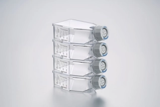 Eppendorf Cell Culture Flasks T-25, стерильно, без поддающихся обнаружению пирогенов, РНКазы и ДНКазы, ДНК. Нецитотоксично, крышка с фильтром, ТС-обработанные (TC treated), 7,0 мл, 192 флакон. (24 пак. × 8 флакон.)