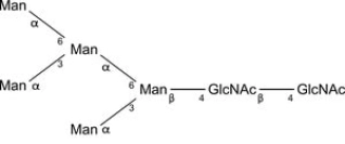 SILU#CARB GLYCAN STANDARD 13C PAUCIMANN&