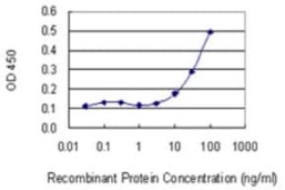 MONOCLONAL ANTI-SNRPB, (N-TERMINAL)