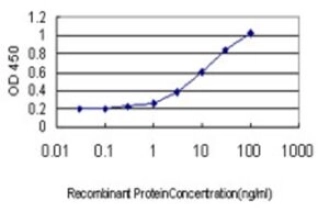 MONOCLONAL ANTI-GKP3