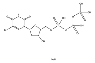 5-BROMO-2'-DEOXYURIDINE 5'-TRIPHOSPHATE